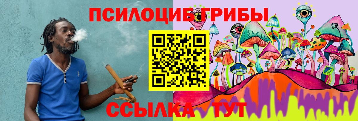 Унеча  Псилоцибиновые грибы Cubensis  Вход с VPN 